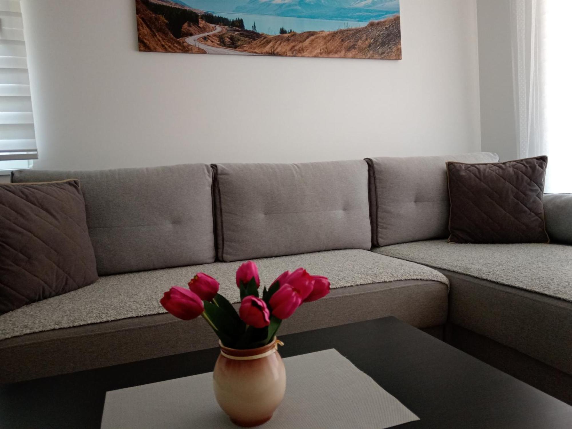 Mk Zlatibor Apartment Ngoại thất bức ảnh